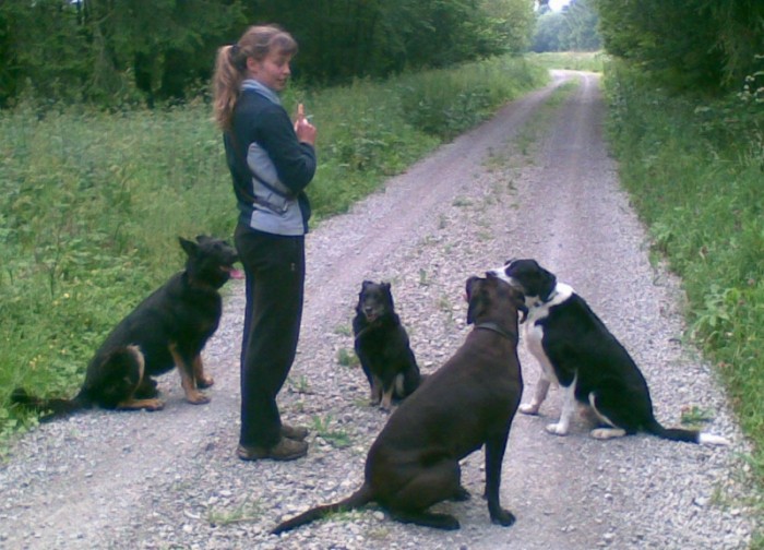 Gemeinsam den Naturweg finden 10 Jenni Starke mit 4 Hunden in der Natur ohne Leine
