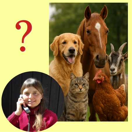 Gemeinsam den Naturweg finden 3 Tierheilpraktikerin Jenni Starke berät am Telefon für Hund, Katze, Pferd, Huhn und Ziege